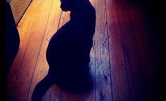 Instagram 11/2012