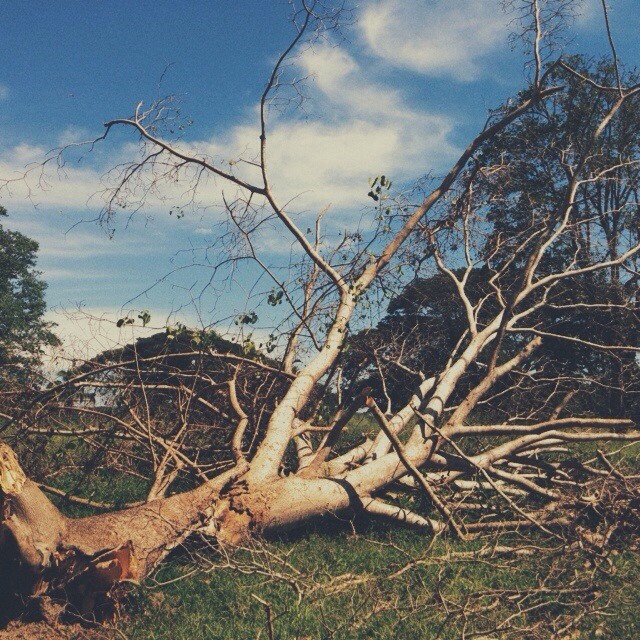 Instagram Noviembre/November 2013