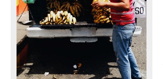 Platanero – Curated VSCO Grid