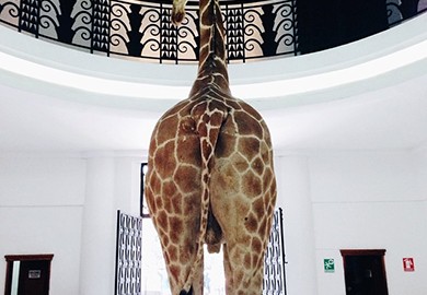 Instagram Agosto/August 2014