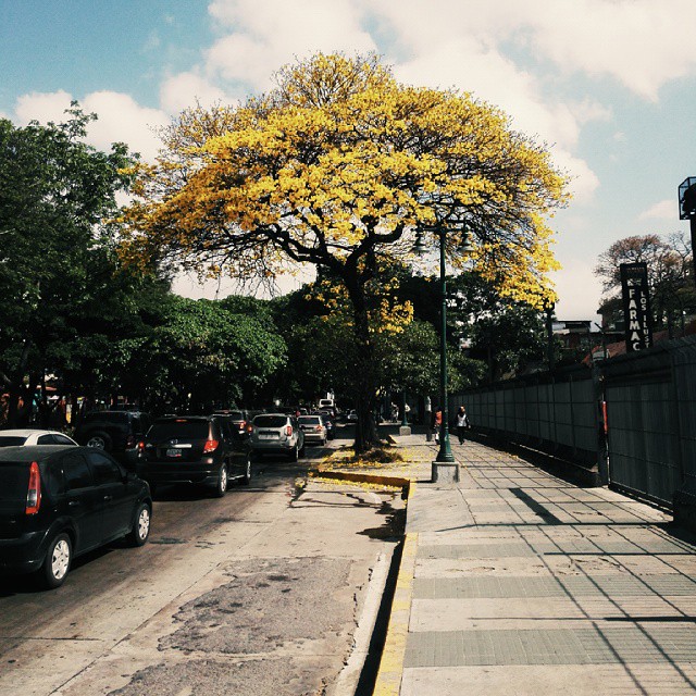 Instagram Mayo/May 2015