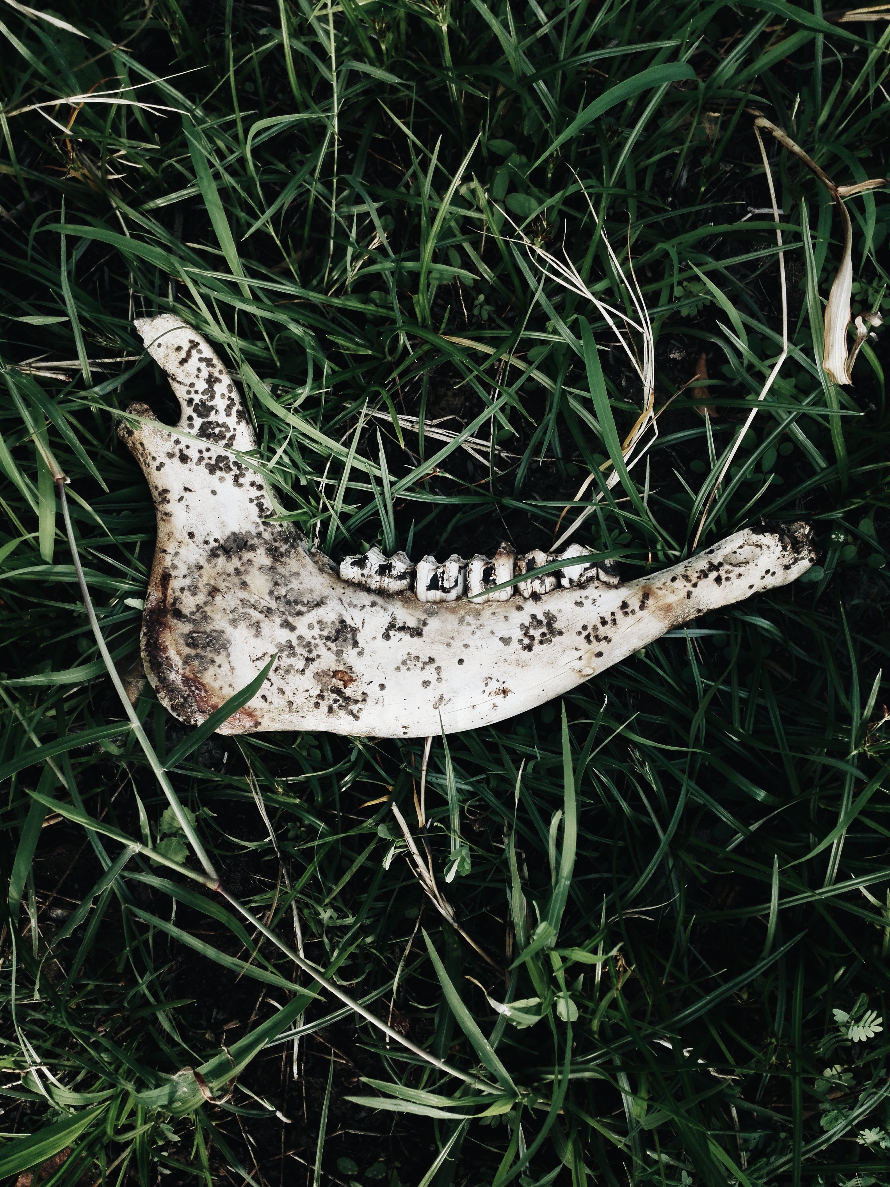 May 2015 in the Curated VSCO Grid