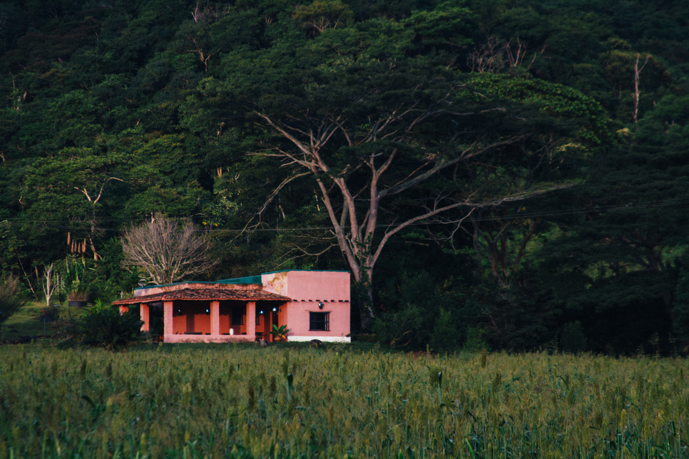 Otra Visita a Domador Pineda