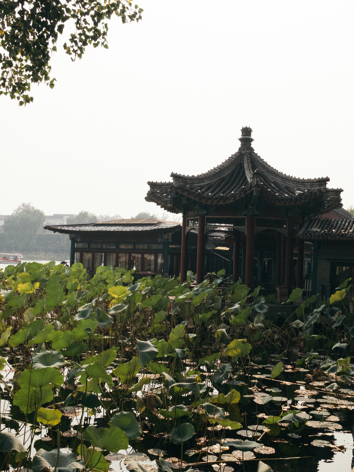 Qianhai Lake 前海