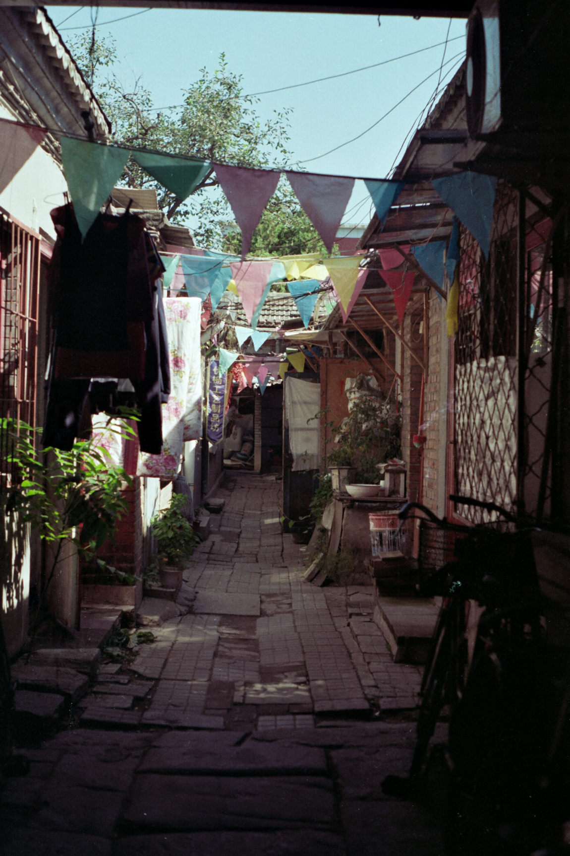 The Hutongs on Film