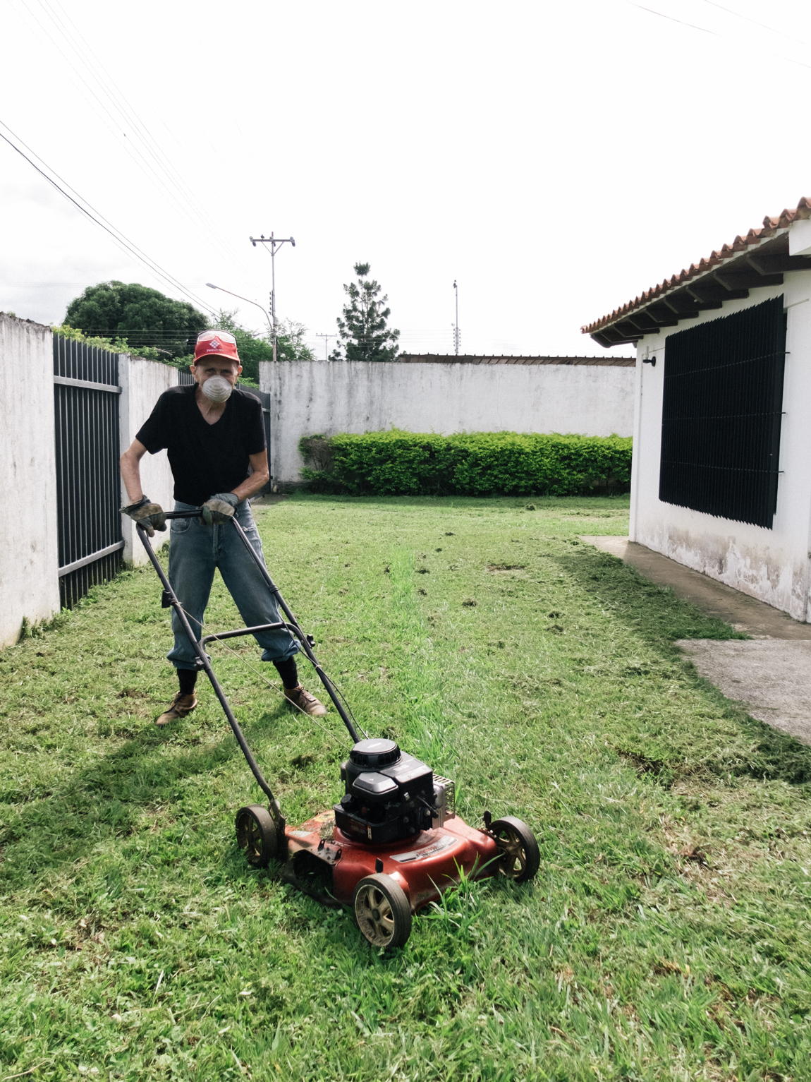 My Week in Pictures – Green