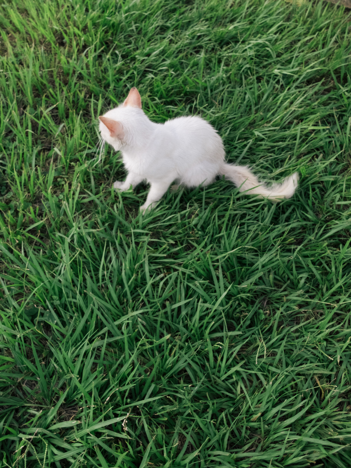 My Week in Pictures – White