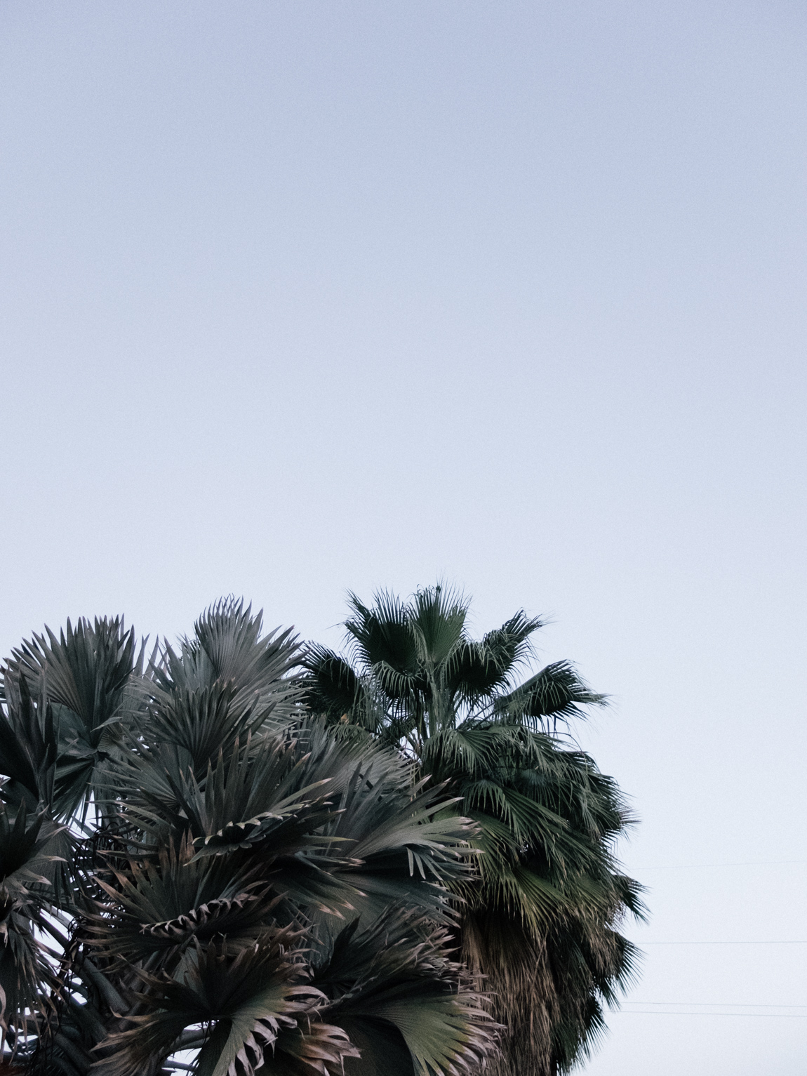 My Week in Pictures – Cielo