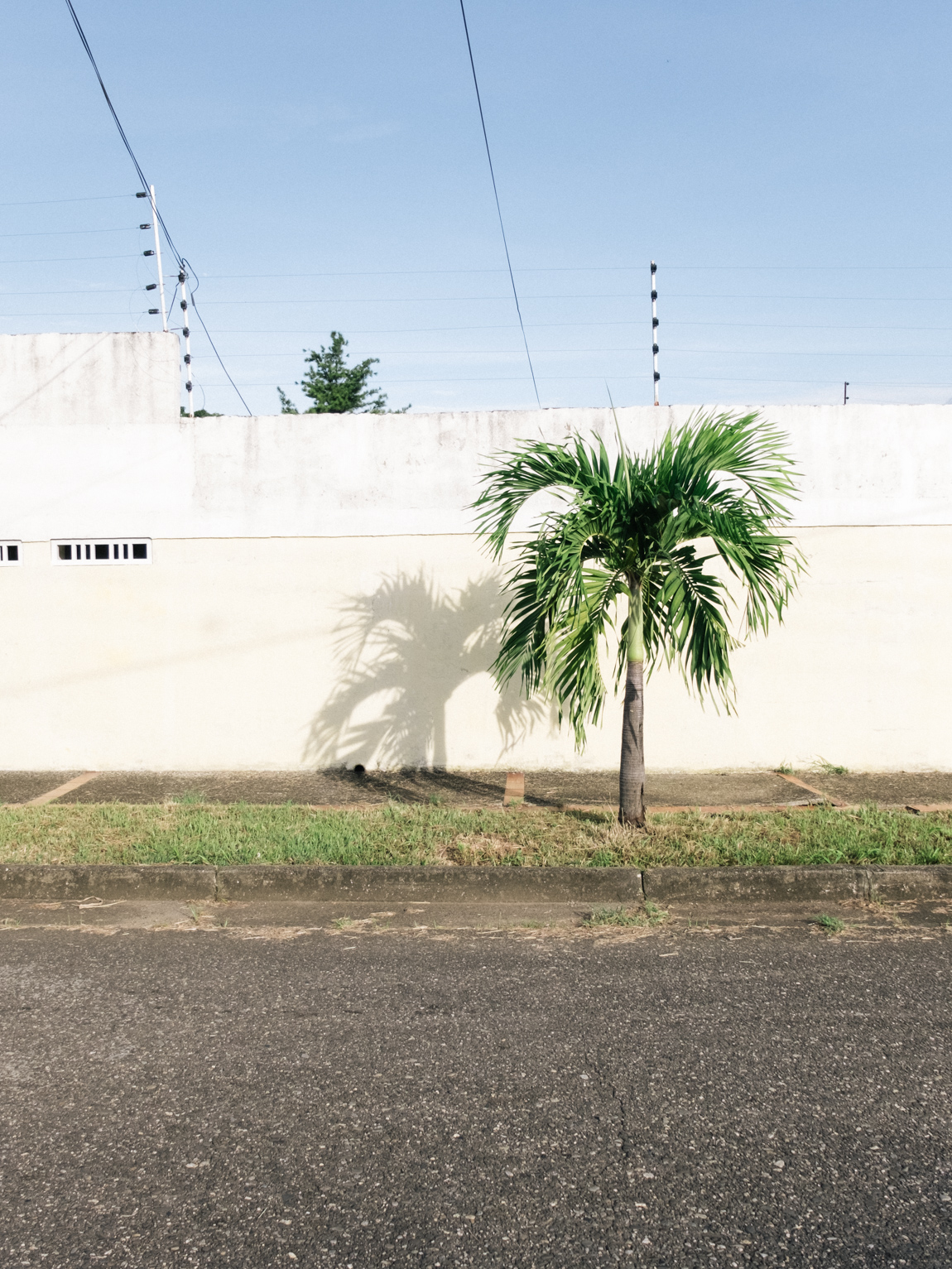 My Week in Pictures – Palmas