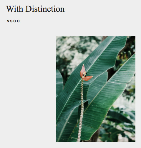 Labios de Plátano – With Distinction