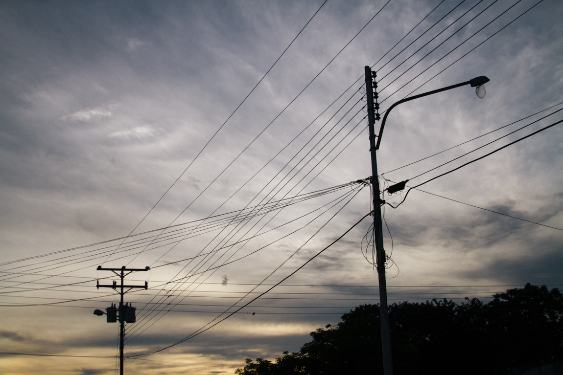 My Week in Pictures – Electric Lines