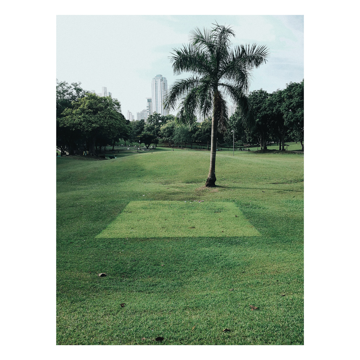 Semanas de Panamá