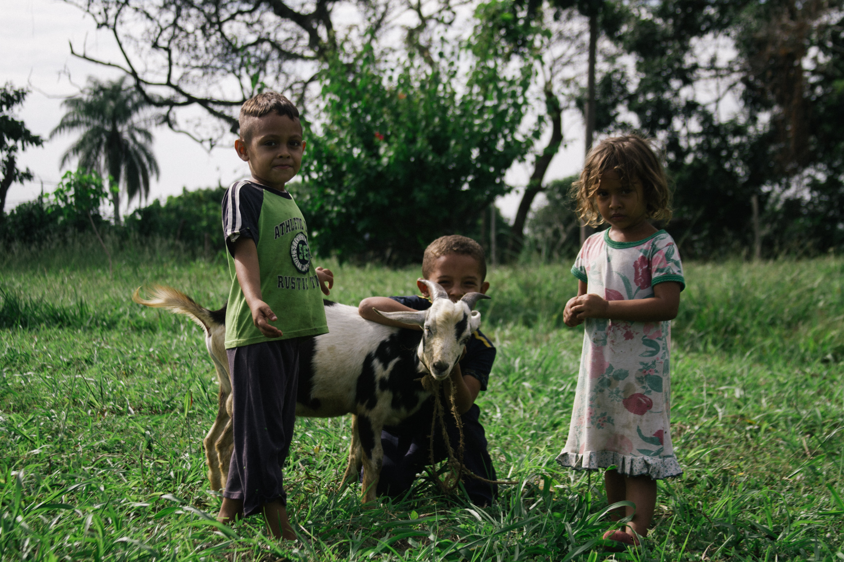Little Neighbors and Their Goats